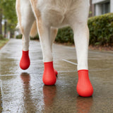 Zapatos impermeables para perro en uso